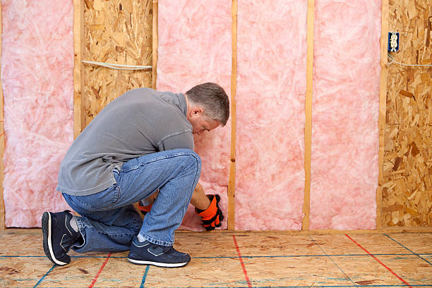 Best Insulation Maintenance and Repair in Village Green Green Ridge, PA
