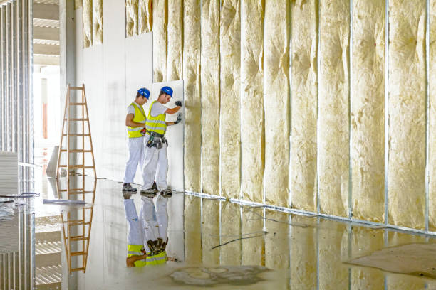Best Residential Insulation in Village Green Green Ridge, PA
